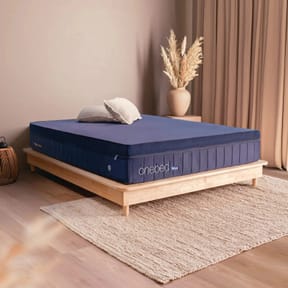 Extra 20% Off OneBed Max Products