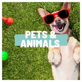 10% Off Animals and Pets
