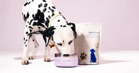 15% Off Your First Purchase + Free Shipping Over $80